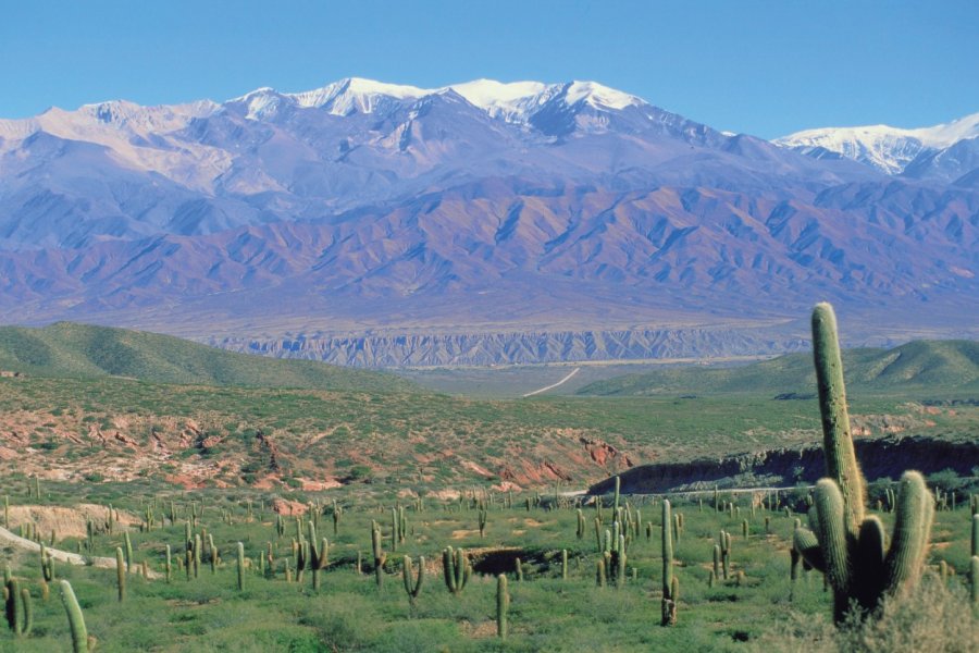 Paysage de la région de Salta. H.Fougère - Iconotec