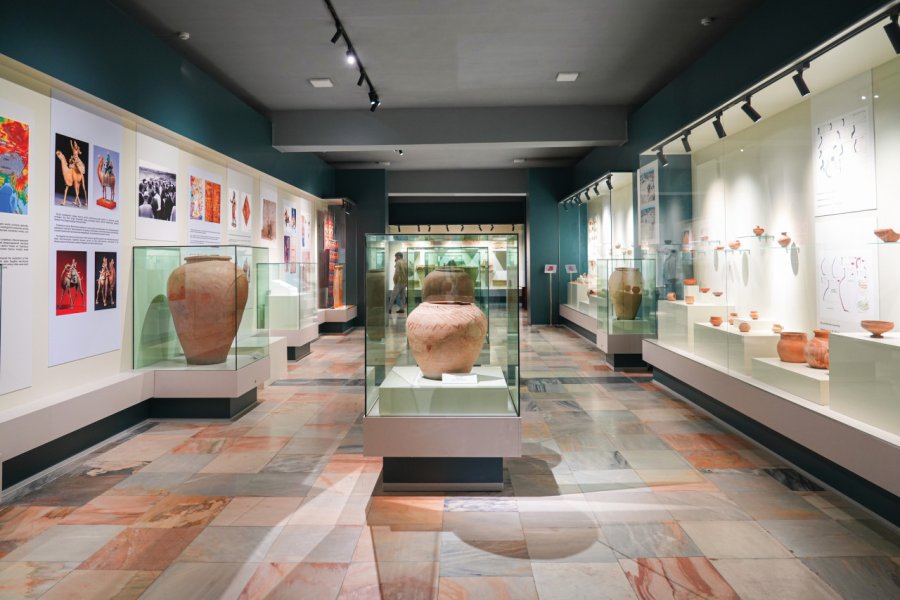 MUSÉE AFROSYAB