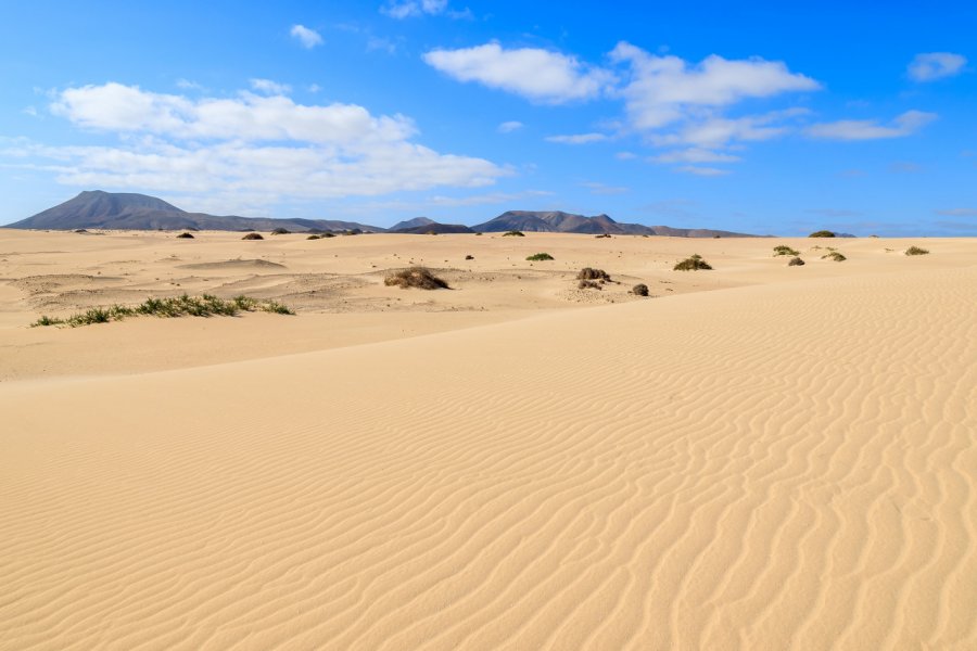 PARC NATUREL DE CORRALEJO