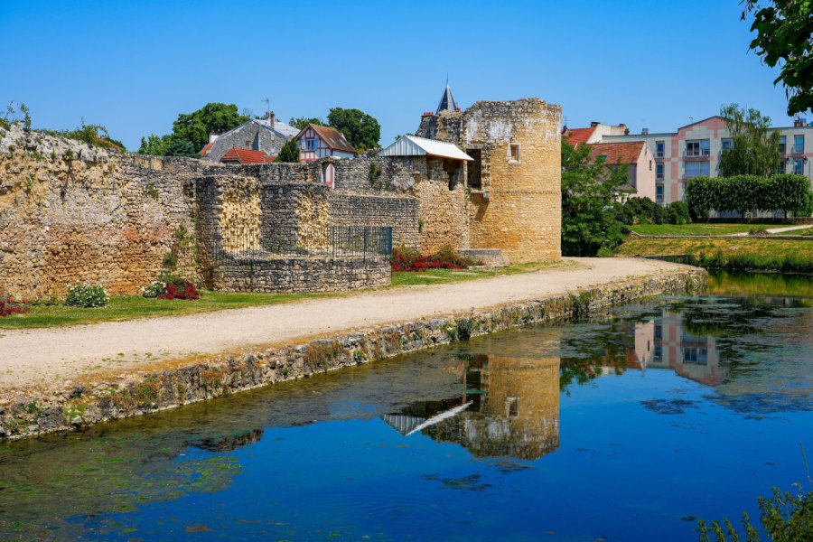 LE VIEUX CHÂTEAU - CHÂTEAU DE BRIE