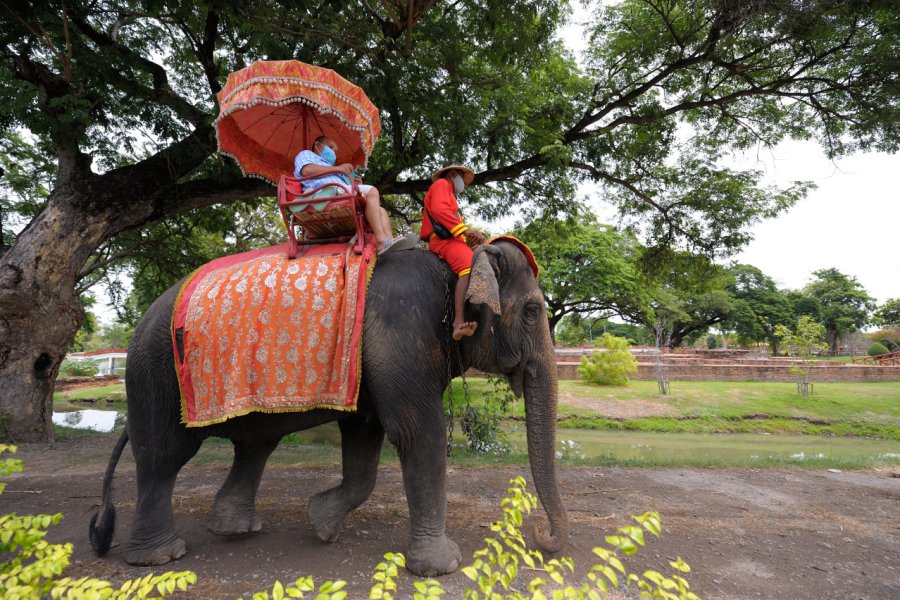 ELEPHANT ROYAL KRAAL