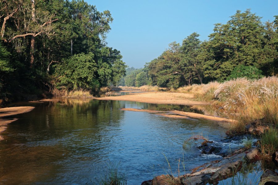 Parc National de Kanha. EcoPic