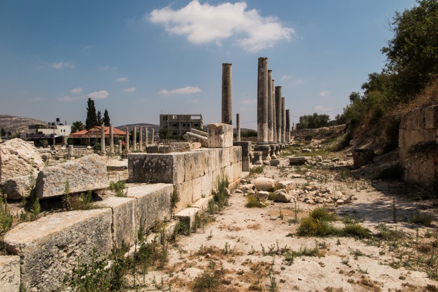 SHOMRON (SAMARIE) NATIONAL PARK