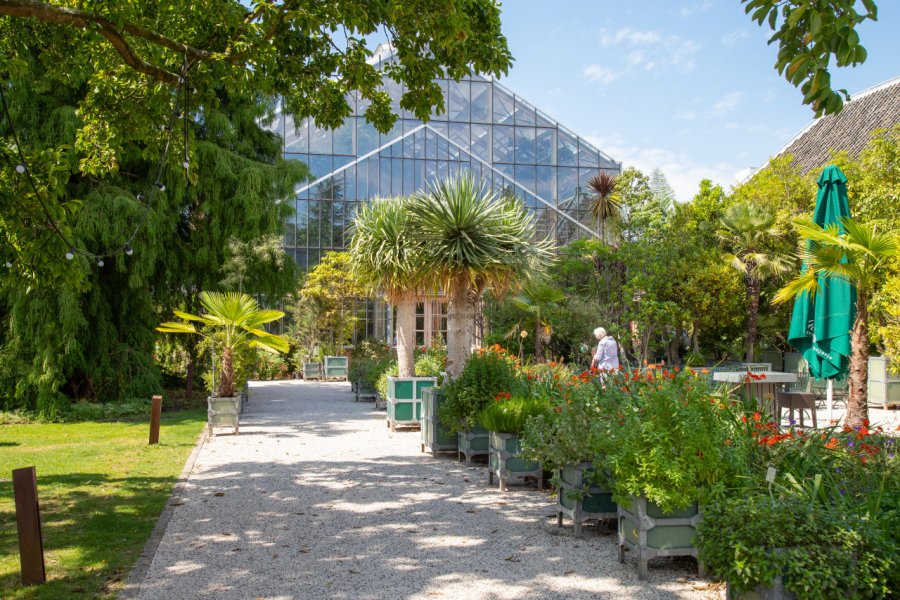 HORTUS BOTANICUS