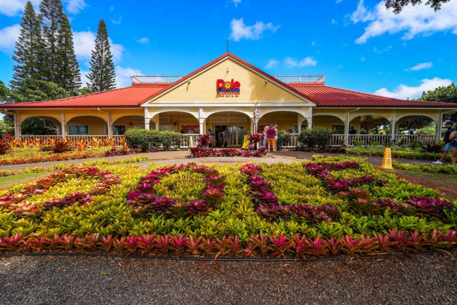 DOLE PLANTATION