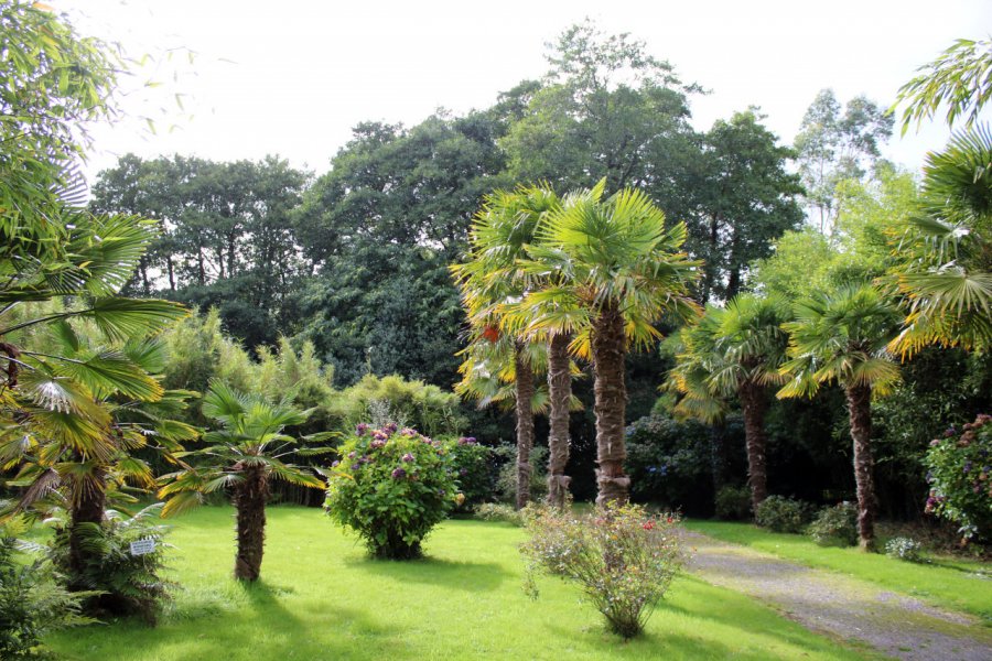 BAMBOO PARK