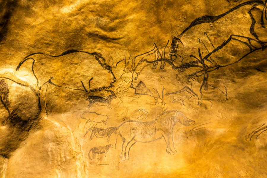 Peintures rupestres dans la grotte de Niaux. Anibal Trejo - Shutterstock.com
