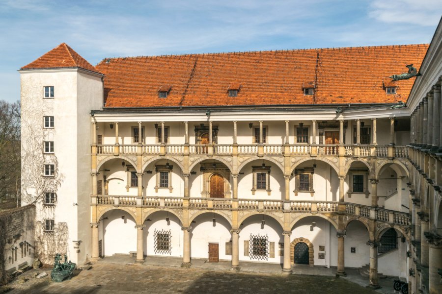CHÂTEAU DE BRZEG ET MUSÉE DES PIAST DE SILÉSIE