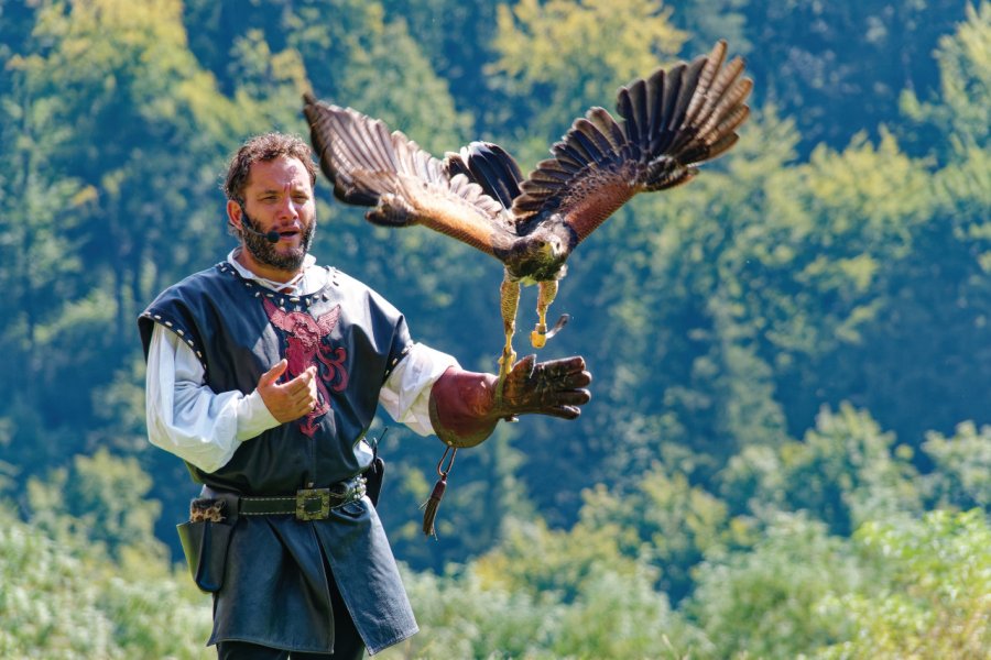 LES AIGLES DU LEMAN