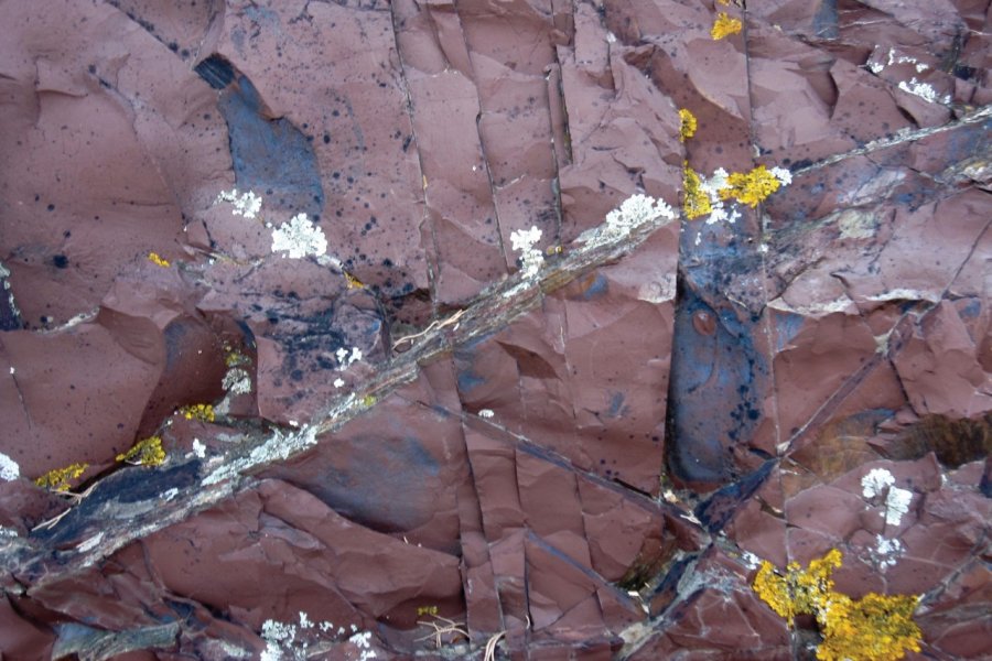 L'Elbe a une terre riche en minéraux de fer, ce qui lui confère des couleurs très particulières. Muriel PARENT