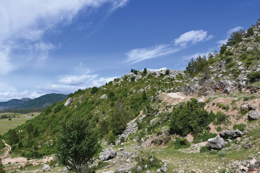 PARC NATIONAL DE LA VJOSA