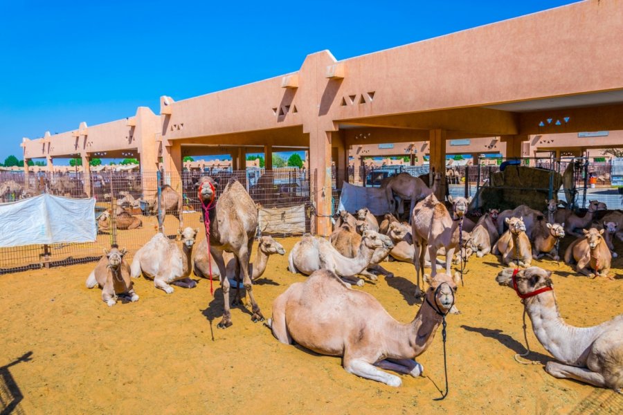 MARCHÉ AUX DROMADAIRES