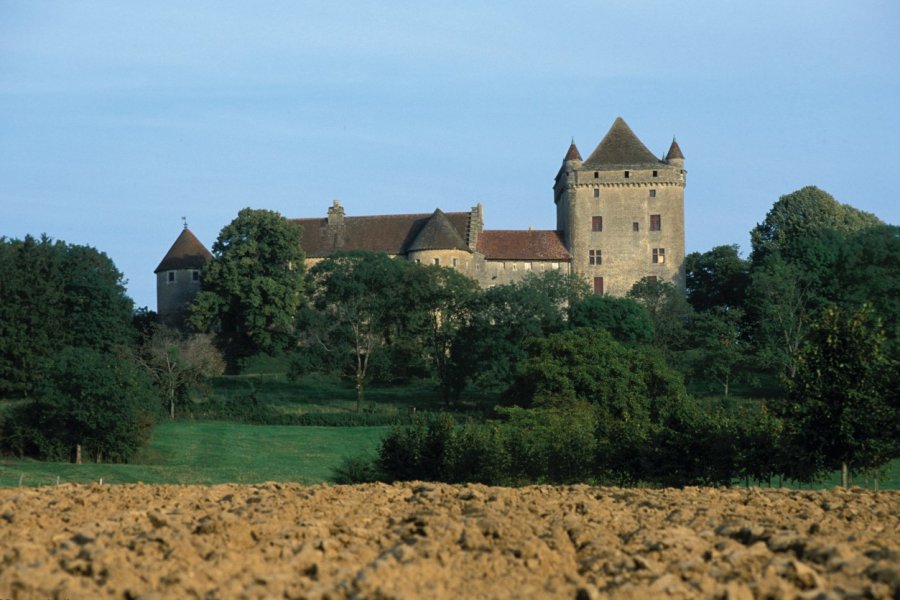 Château du Pin PIERRE DELAGUÉRARD - ICONOTEC