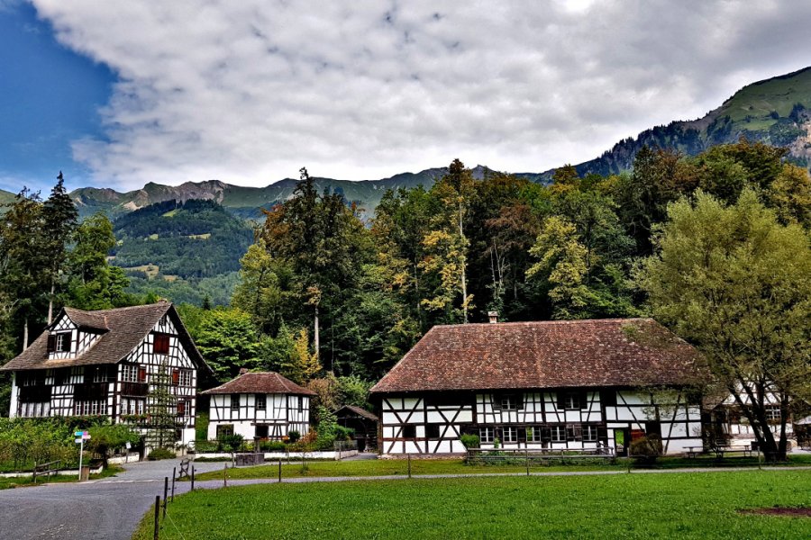 MUSÉE SUISSE EN PLEIN AIR BALLENBERG