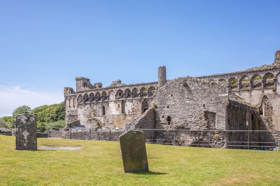 ST. DAVID'S BISHOP'S PALACE