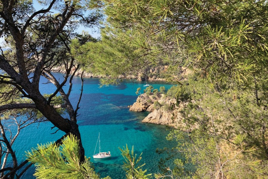 LE SENTIER DU LITTORAL