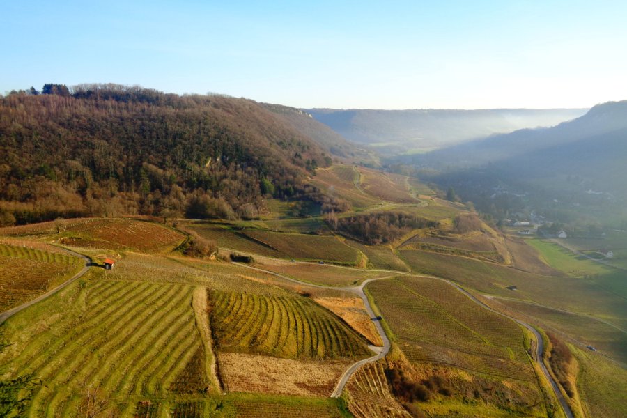 PARCOURS SENSORIEL DU VIN