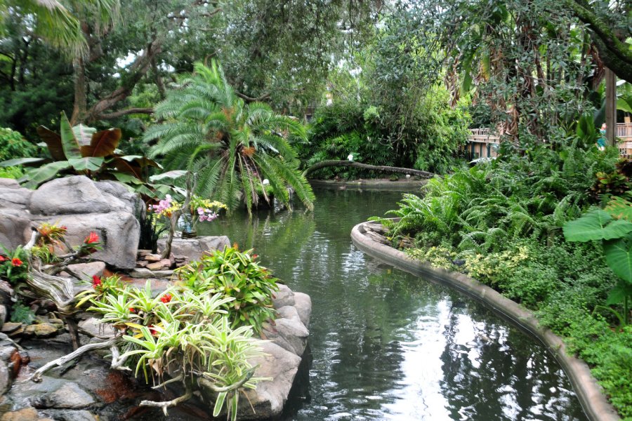 BUSCH GARDENS
