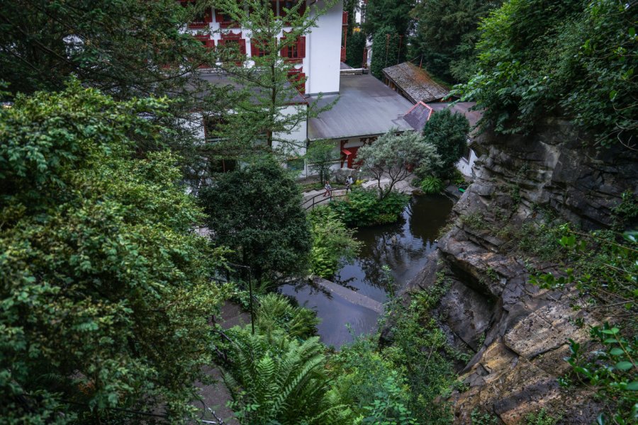 JARDIN DES GLACIERS