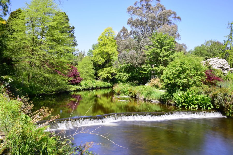 MOUNT USHER GARDENS