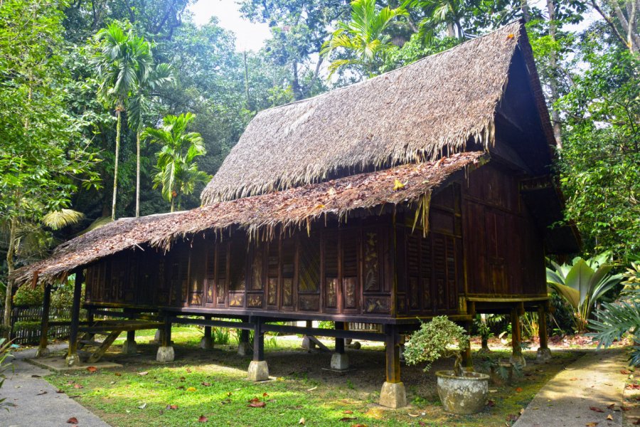 FORESTRY RESEARCH INSTITUTE OF MALAYSIA (FRIM)