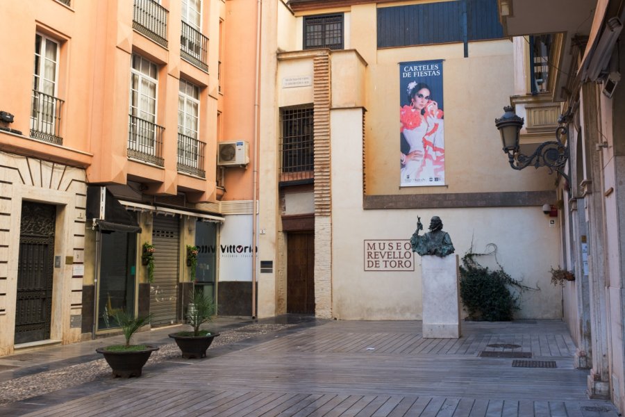 MUSEO REVELLO DE TORO