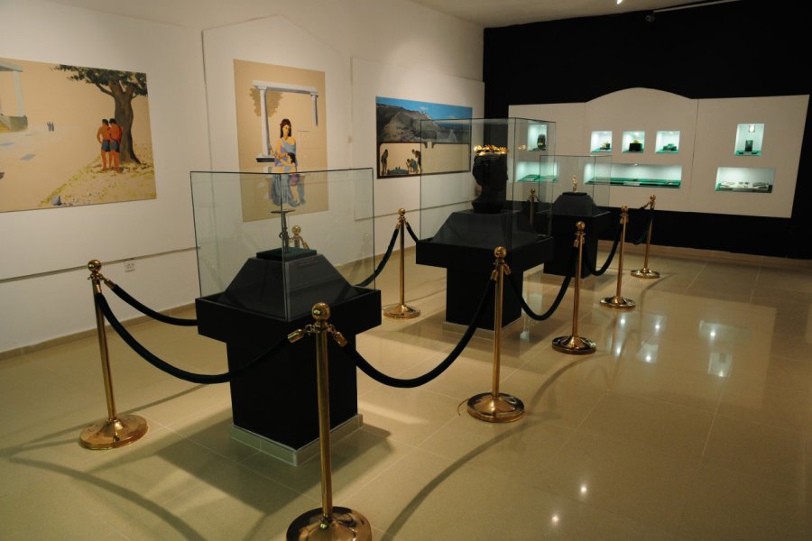 MUSÉE D'ARCHÉOLOGIE ET D'HISTOIRE NATURELLE