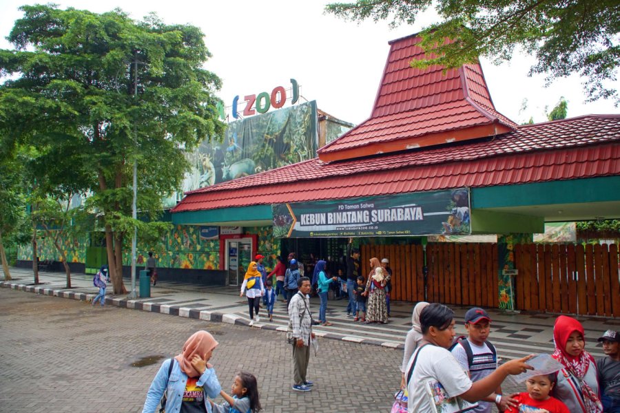 ZOO
