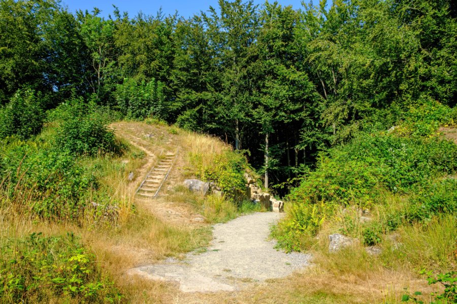 FORÊT D'ALMINDINGEN (ALMINDINGEN SKOV)