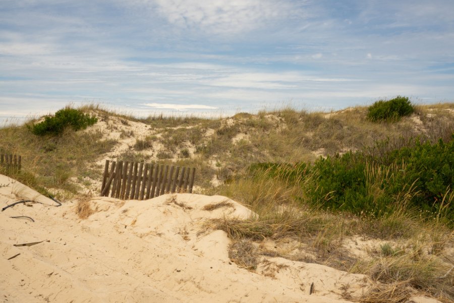 RESERVA NATURAL DAS DUNAS DE SÃO JACINTO