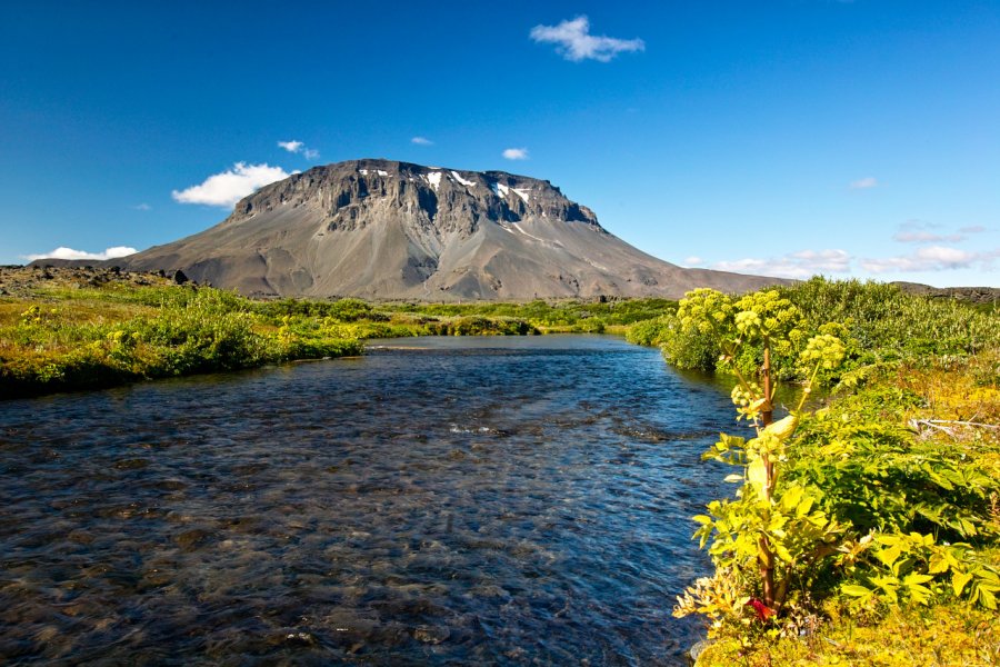 HERÐUBREIÐ