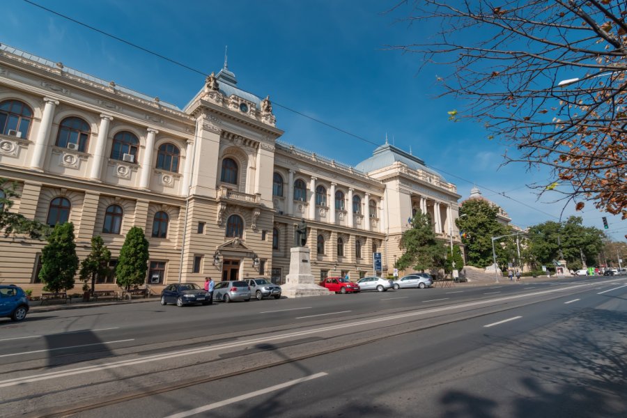 UNIVERSITÉ IOAN CUZA