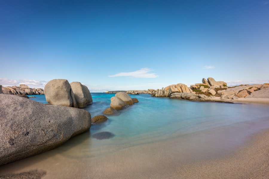 L'ÎLE DE CAVALLO