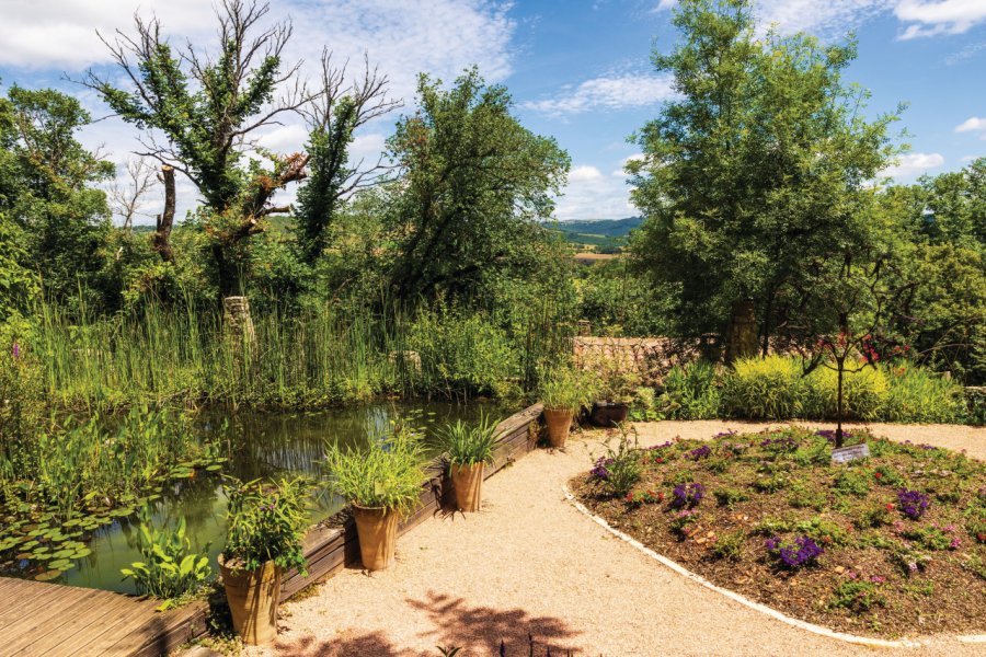 LE JARDIN DES PARADIS