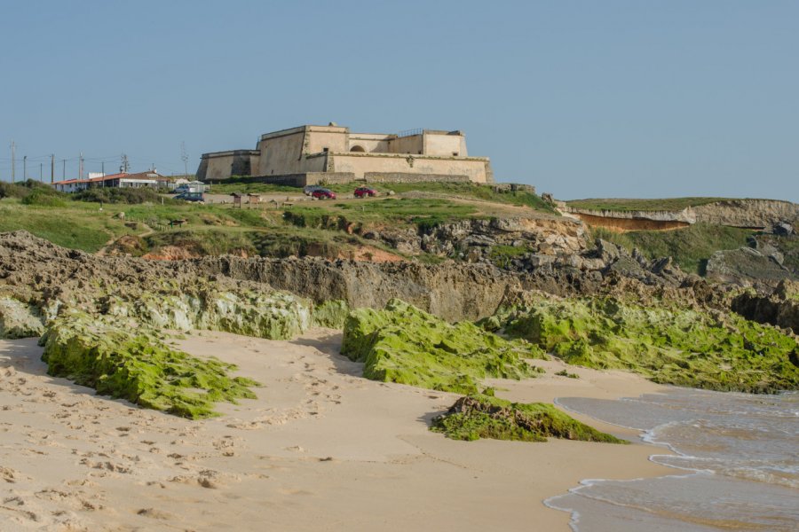 ILHA DO PESSEGUEIRO