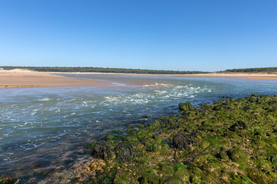 L'ESTUAIRE DU PAYRE
