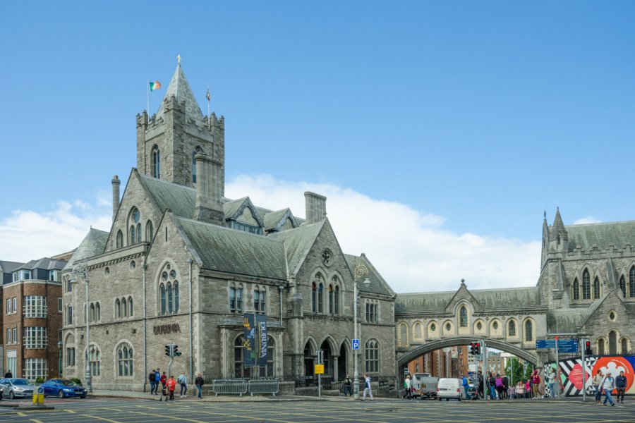 DUBLINIA