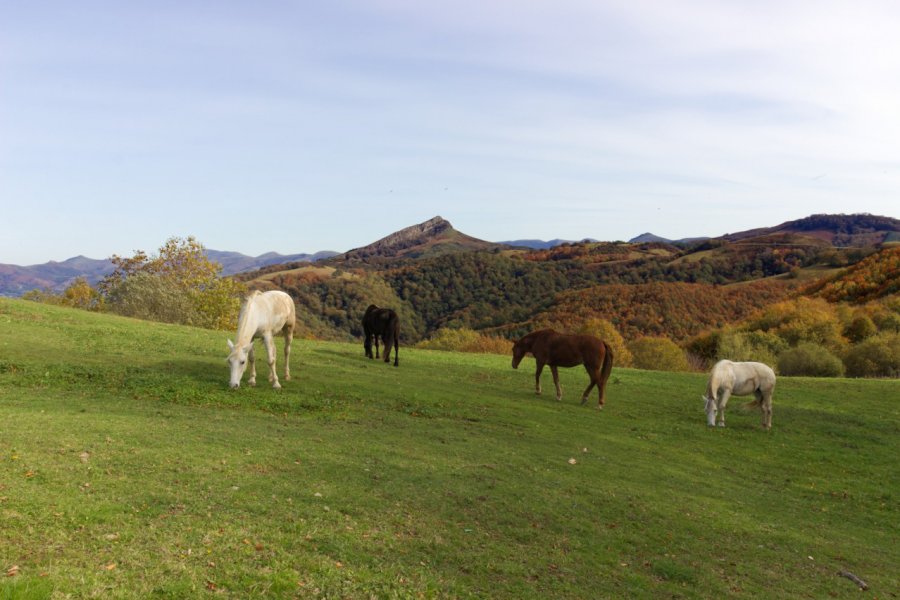 COL DE LIZARRIETA