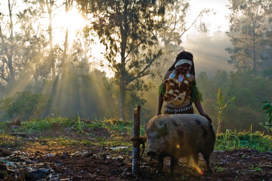 Une femme de l'ethnie Kalam prépare son cochon pour le sacrifice d'une cérémonie d'initiation. Philippe Gigliotti