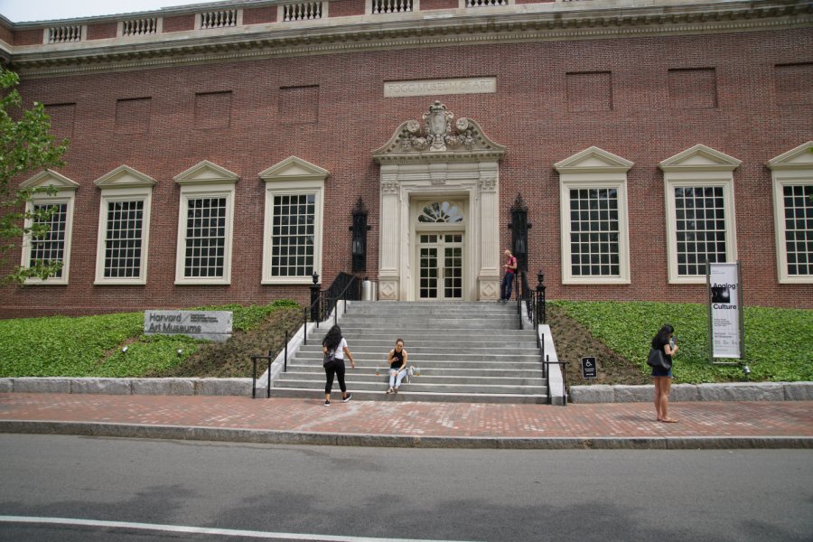 HARVARD ART MUSEUMS