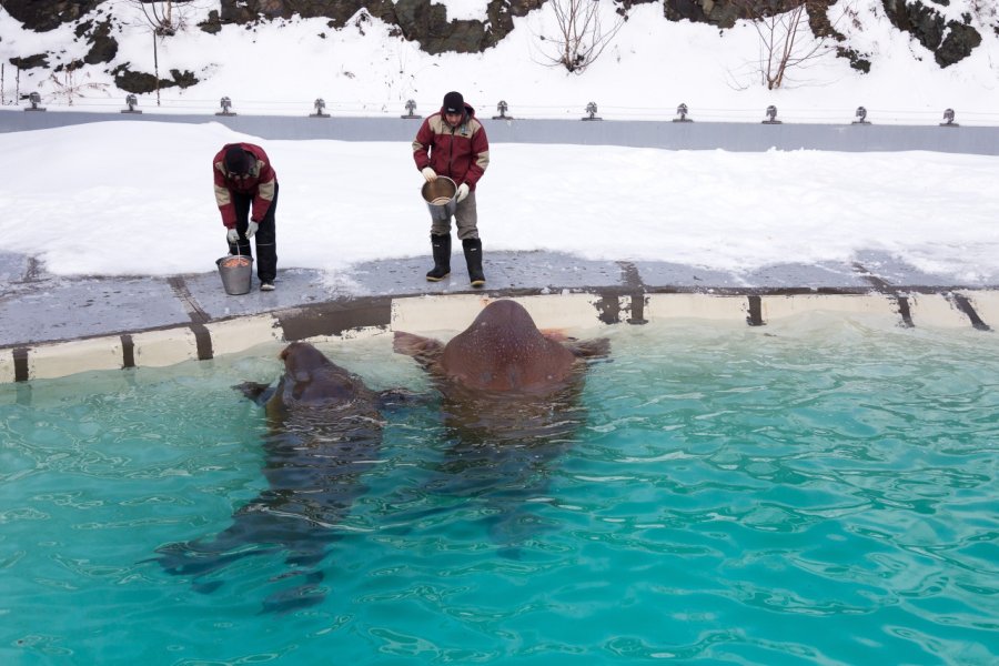 AQUARIUM DU QUÉBEC