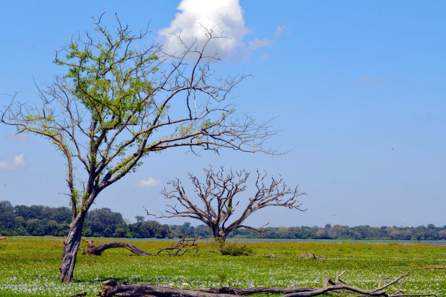 LAHUGALA KITULANA NATIONAL PARK