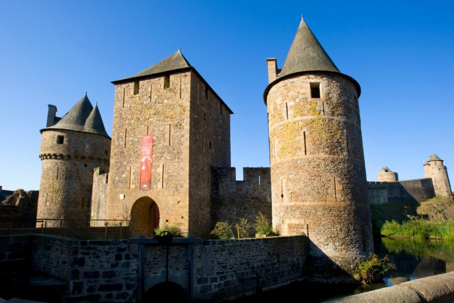 Château médiéval de Fougères. Hervé Ronné