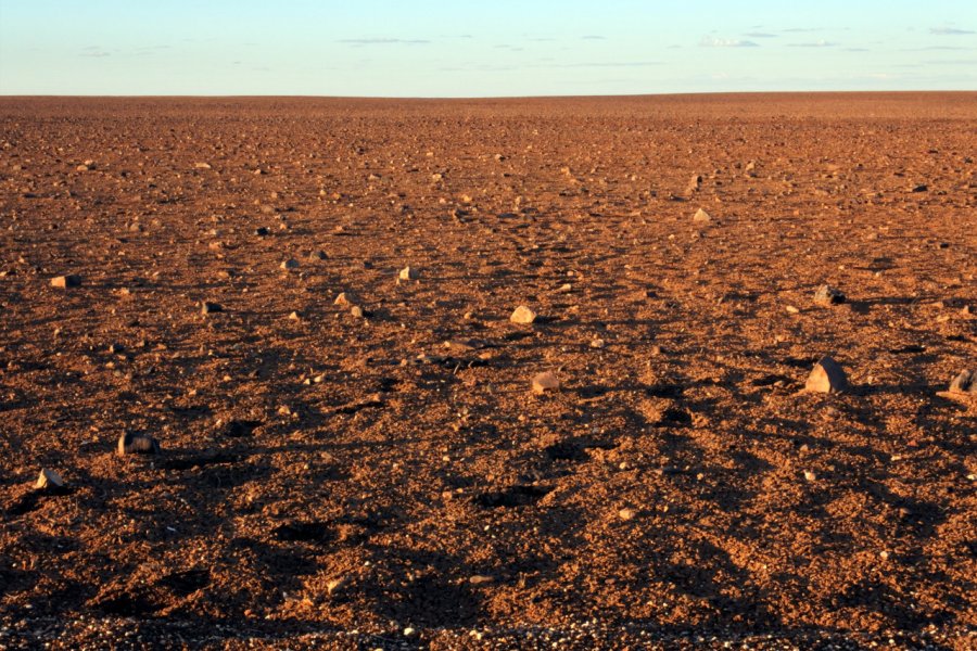 MOON PLAIN