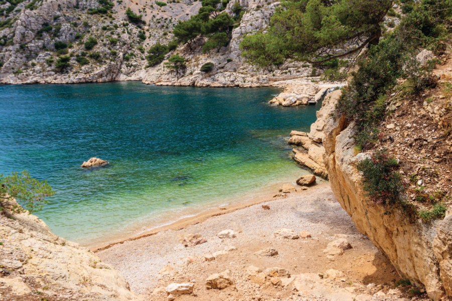LES AMIS DES CALANQUES DE LA CIOTAT