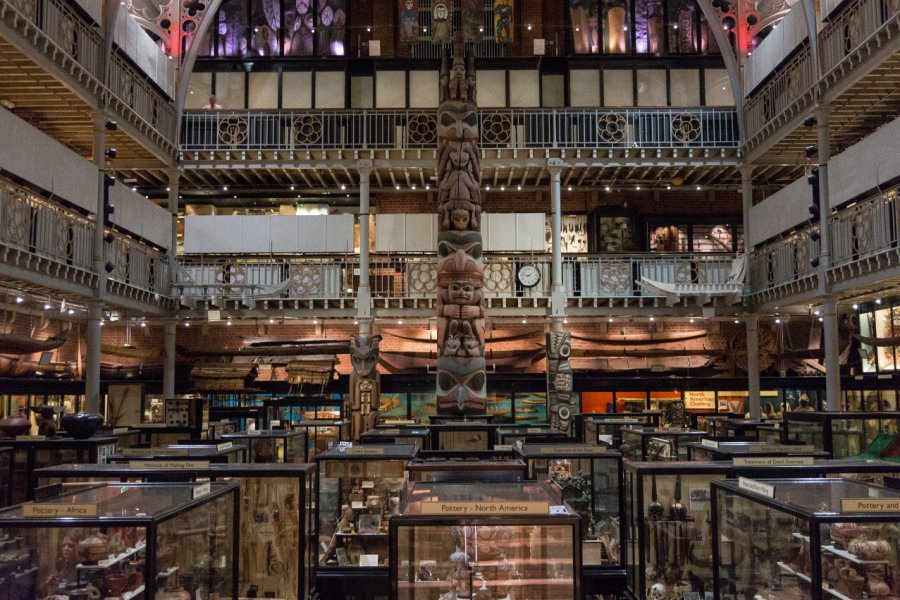 PITT RIVERS MUSEUM