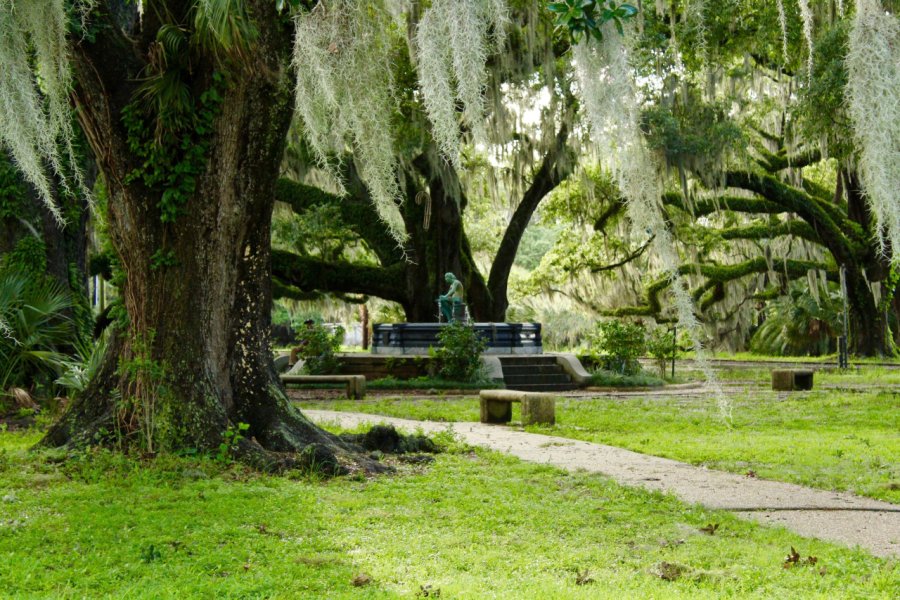 CITY PARK