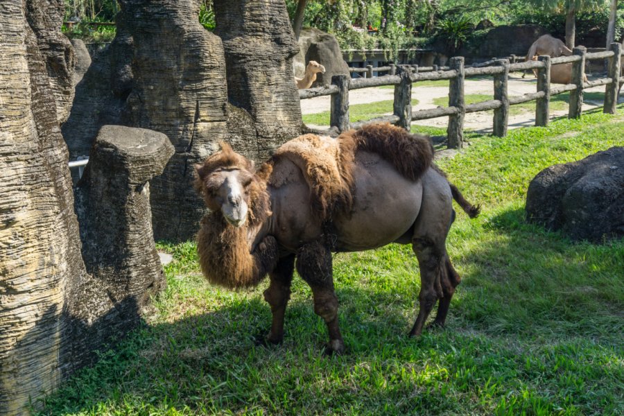 ZOO DE TAIPEI