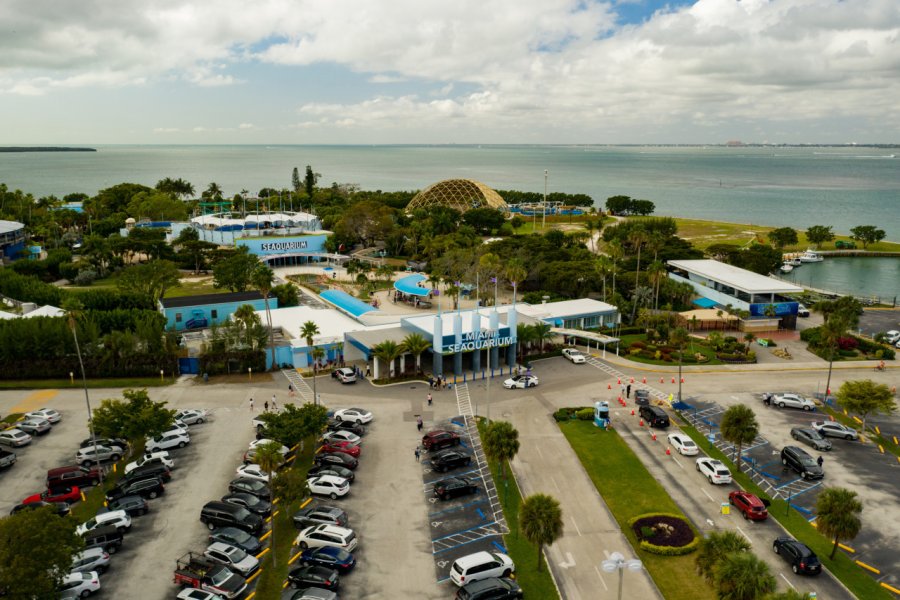 MIAMI SEAQUARIUM