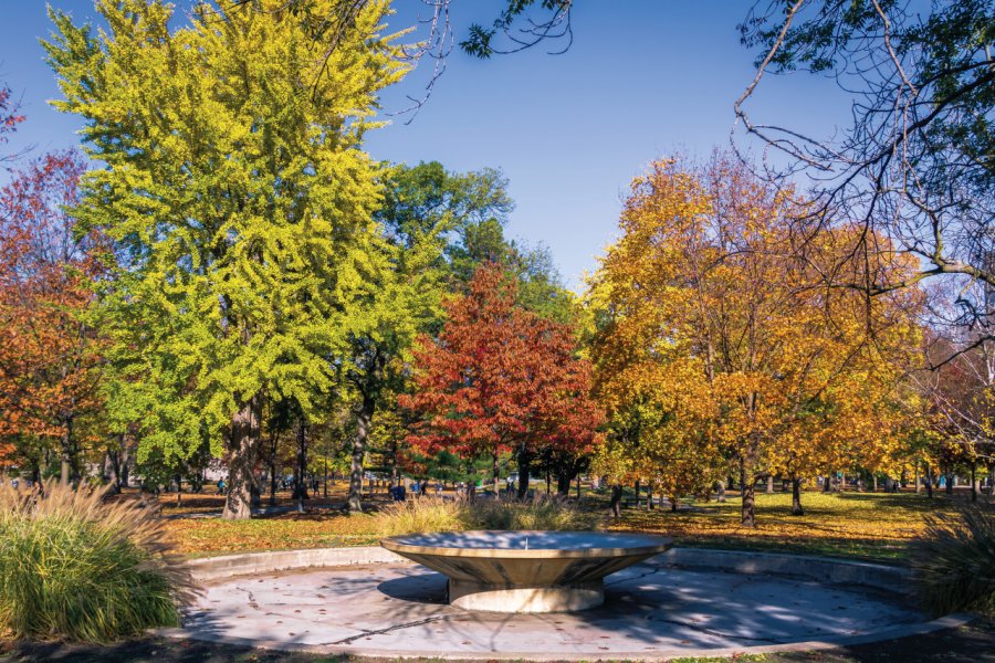 QUEEN'S PARK